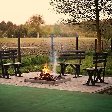 Ale Jazz * Nowe Miasto (Plonsk)