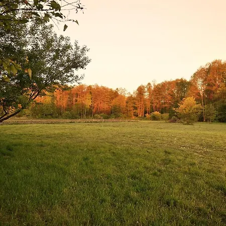 Dom wakacyjny Ale Jazz Nowe Miasto (Plonsk)