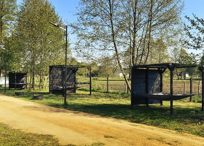 Ale Jazz Дом отдыха Nowe Miasto (Plonsk)