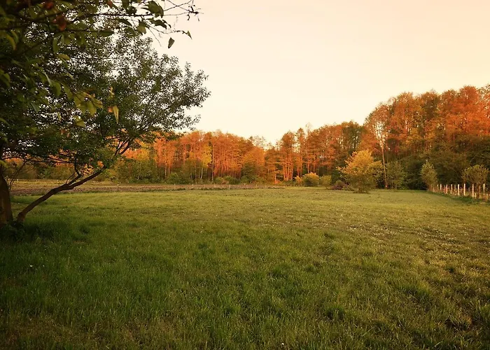 Дом отдыха Ale Jazz Nowe Miasto (Plonsk)